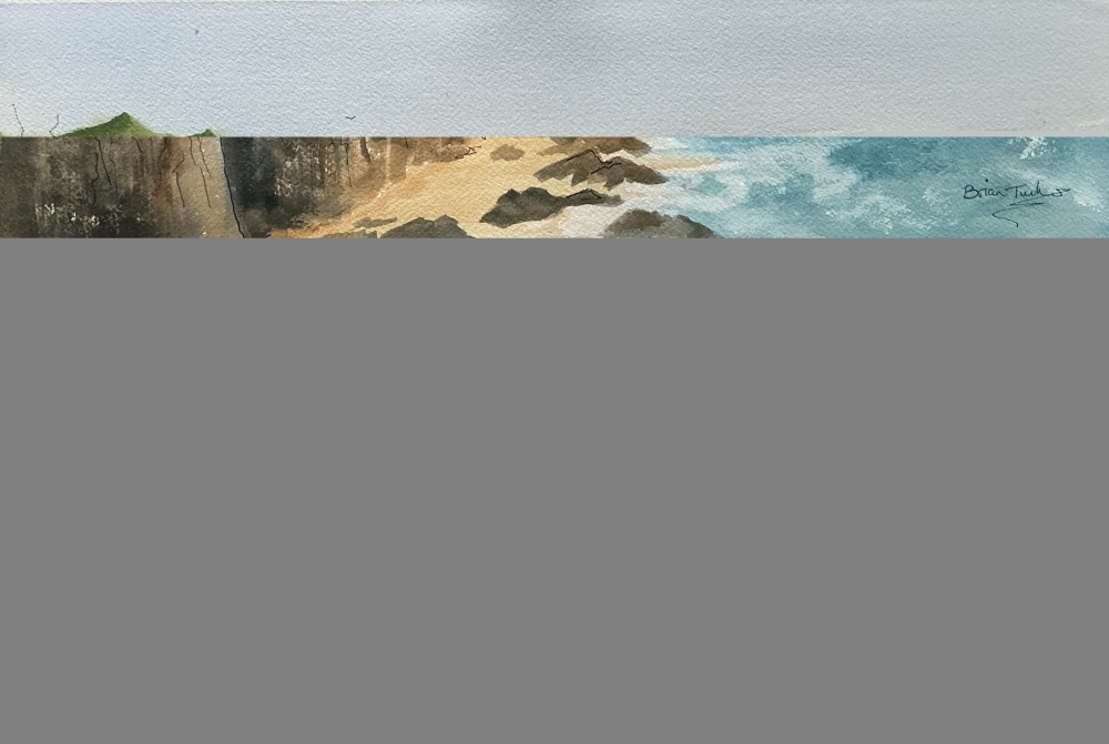 Chuffs flying over Trevose Head in Cornwall