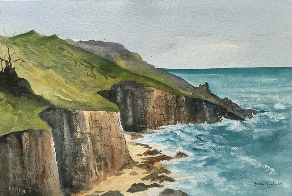 Chuffs flying over Trevose Head in Cornwall
