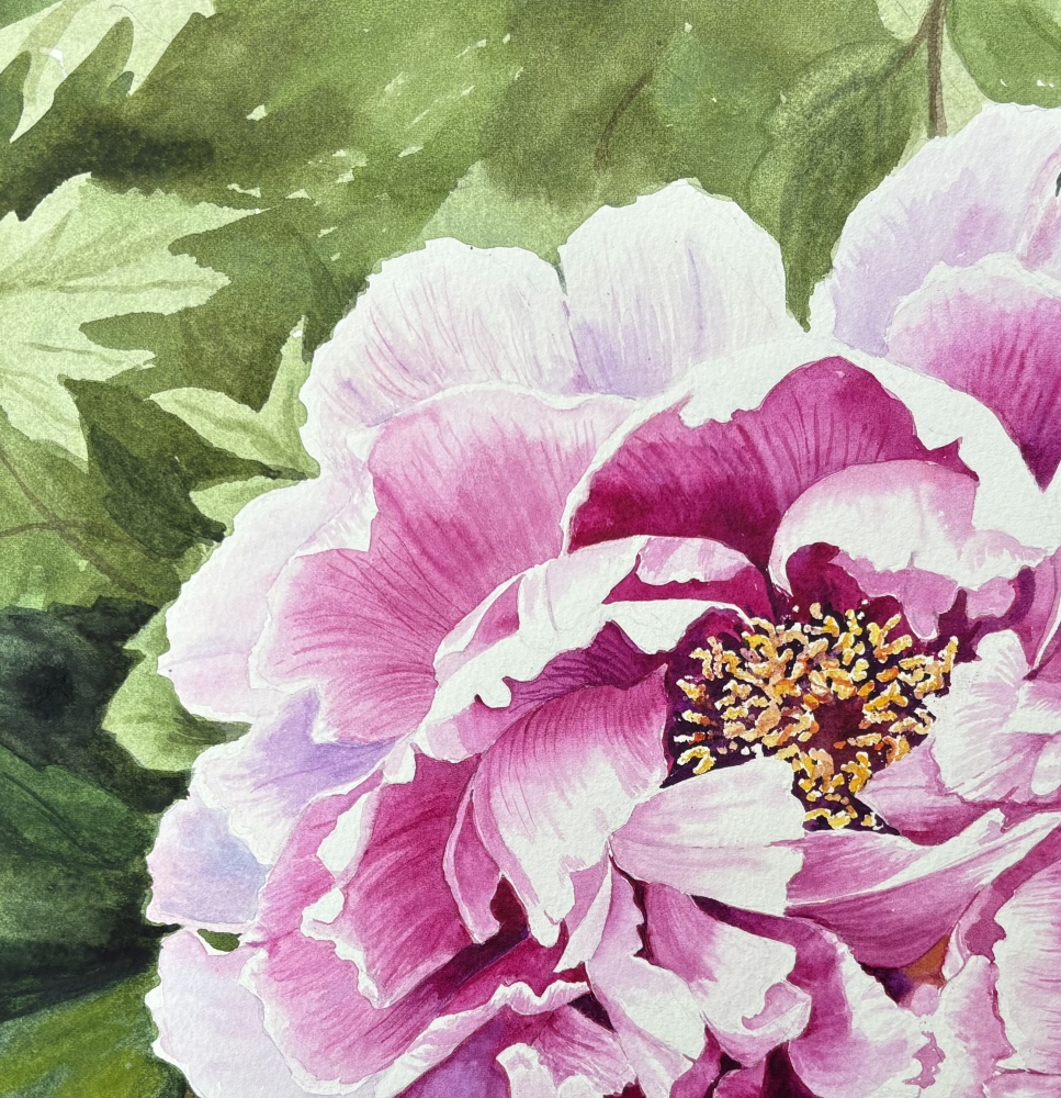 PERFECT PEONY 
