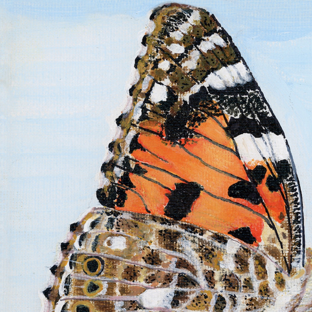 Nectar and Wings