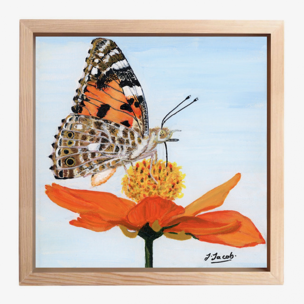 Nectar and Wings