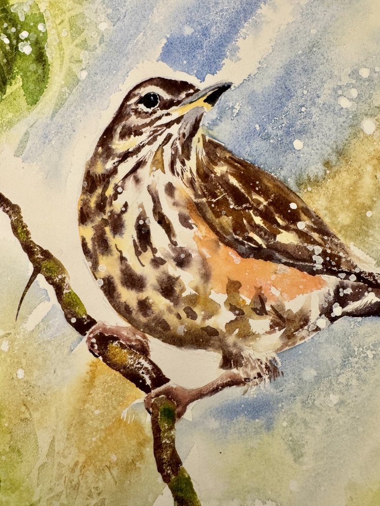 Winter visitor no1