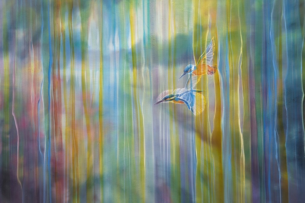 Kingfishers over the River Ouse 