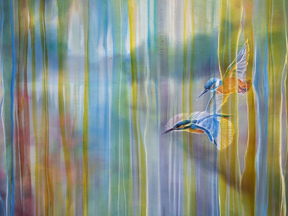 Kingfishers over the River Ouse 