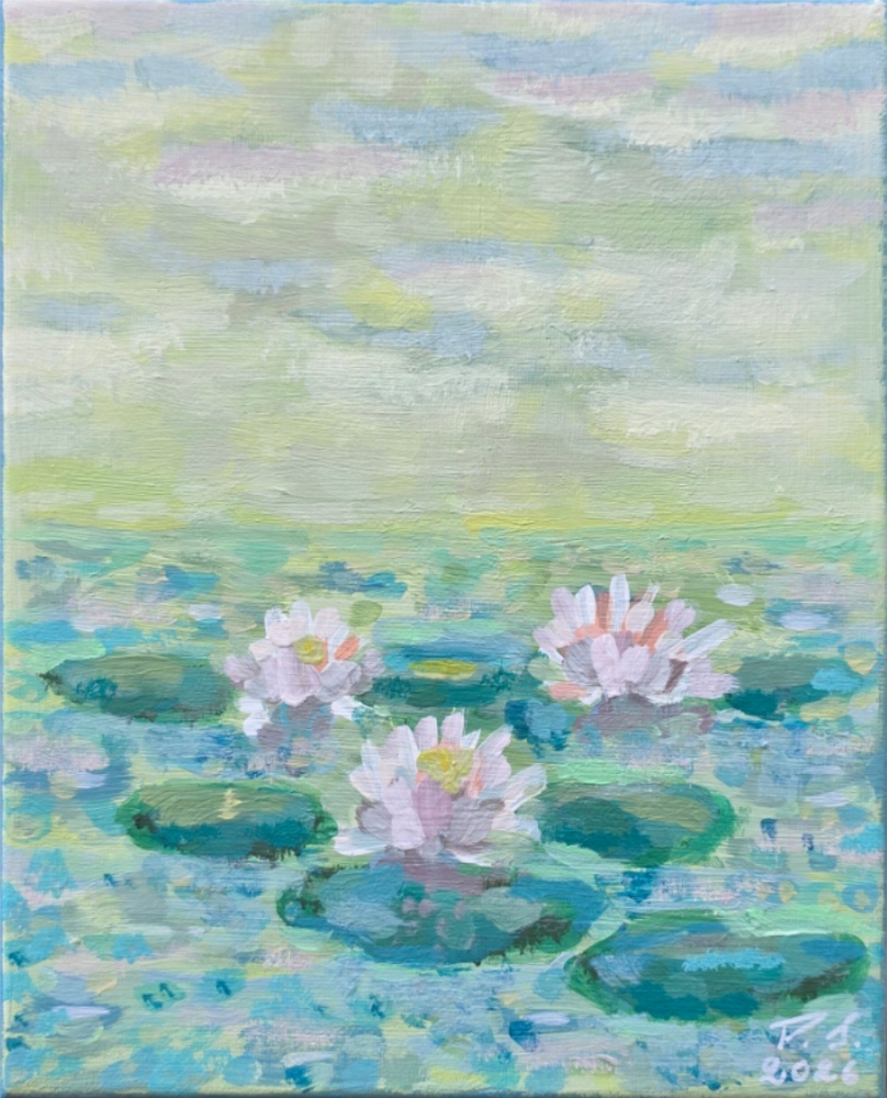 Morning Lily Pond