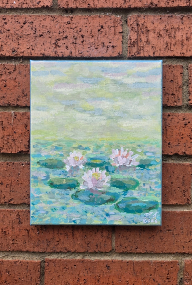 Morning Lily Pond