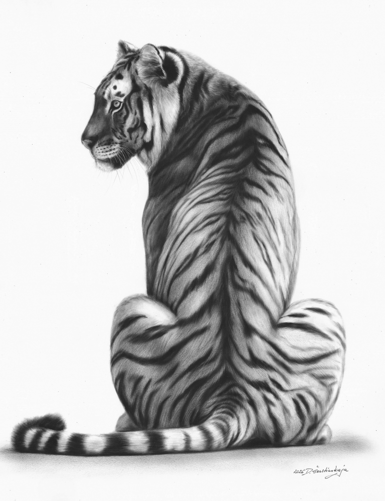 Quiet Majesty
