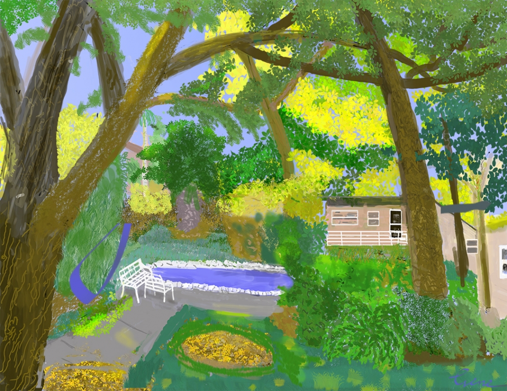 Linda's Back Yard 1