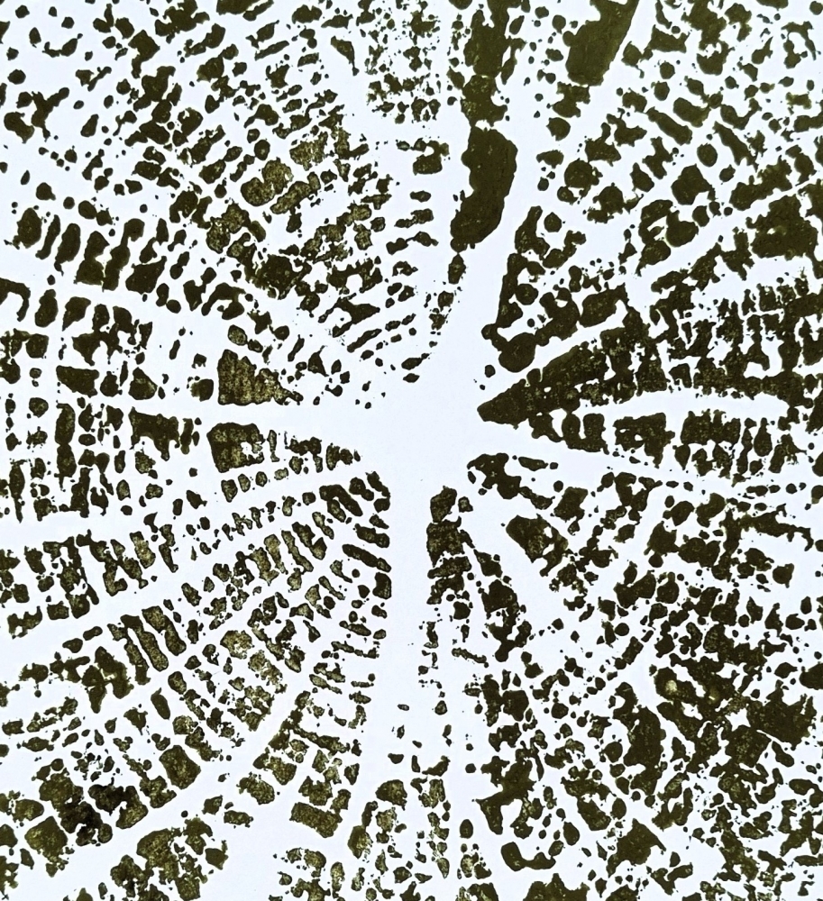 Tree Rings #1 (Green)