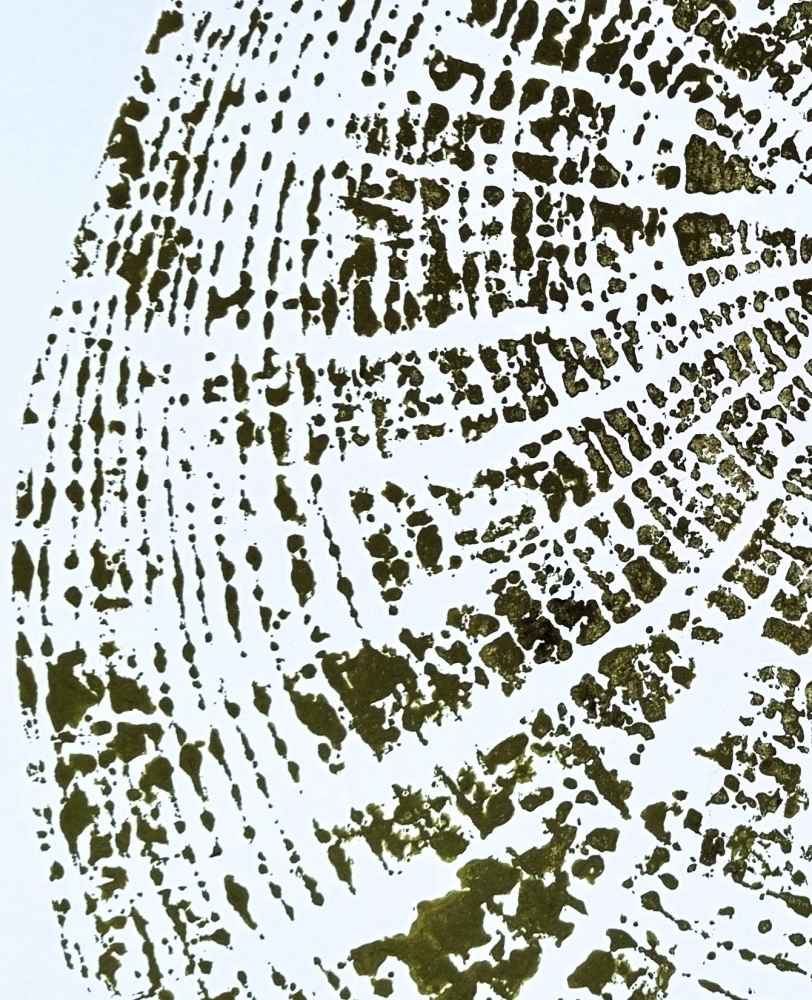 Tree Rings #1 (Green)