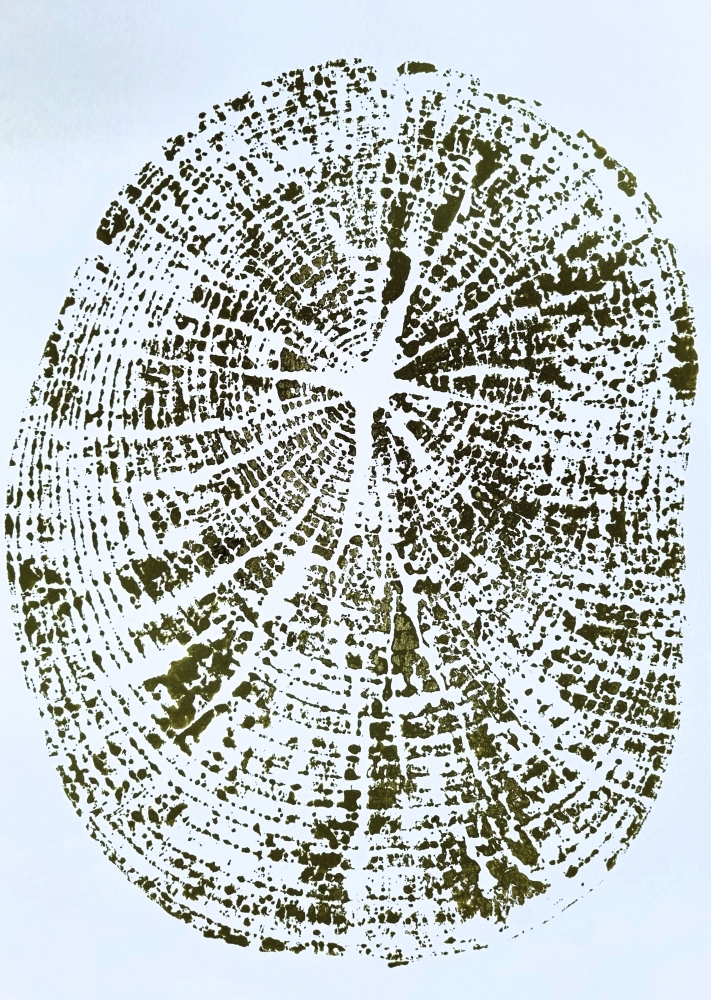 Tree Rings #1 (Green)