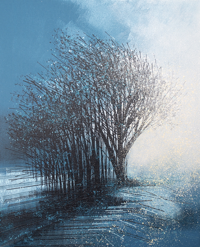 Winter Trees In Morning Mist