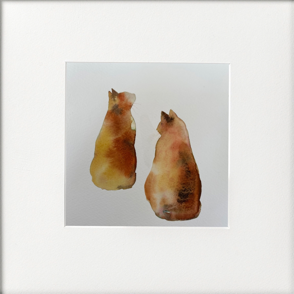 Two tortoiseshell cats