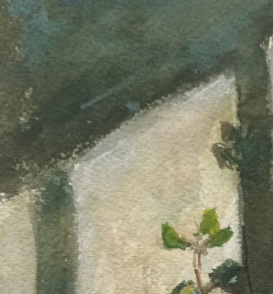 \"The Potted Vine\"