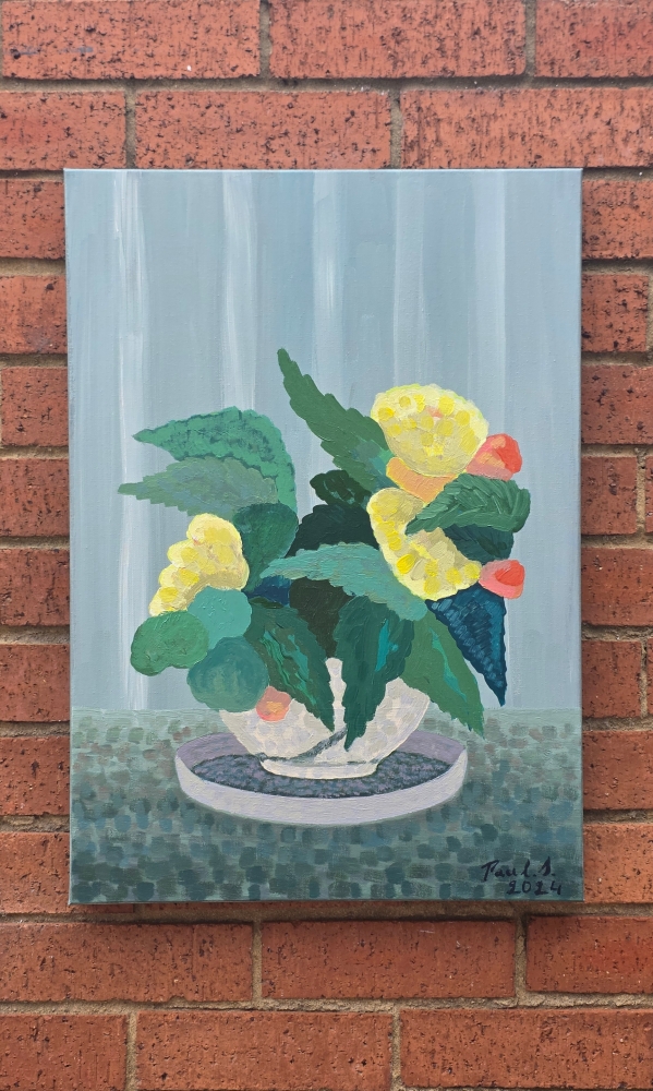 Yellow Begonia in Flower Pot