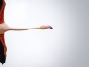 Phoenicopterus Roseus — 20251201 — 70 × 50 cm