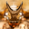 Megasoma Anubis — 20251026 — 70 × 50 cm