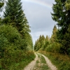 Landscape of Frasne — 30 × 40 cm