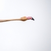 Phoenicopterus Roseus — 20251201 — 40 × 30 cm