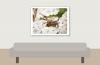Xysticus Spec — 20250812 — 40 × 30 cm