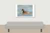 Podiceps Nigricollis — 20250516 — 60 × 40 cm