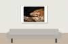 Boa Constrictor — 20251115-2025-11-15 — 60 × 40 cm