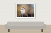 House Sparrow in 20251201 — 40 × 30 cm