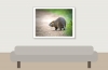Myocastor Coypus — 20251201 — 40 × 30 cm