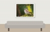 House Sparrow in 20251201 — 40 × 30 cm