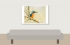 Alcedo Atthis 18 — Vergigny — 70 × 50 cm