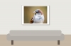 House Sparrow in 20251201 — 70 × 50 cm