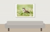 House Sparrow in 20250812 — 70 × 50 cm