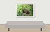 Common Vole in Les Planches-en-Montagne — 70 × 50 cm