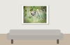 Marmota Marmota — 20250811 — 70 × 50 cm