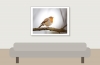 European Robin in 20251201 — 40 × 30 cm