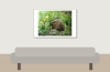 Common Vole in Les Planches-en-Montagne — 60 × 40 cm