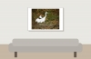 Larus Michahellis — 20251201 — 60 × 40 cm