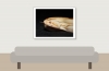 Boa Constrictor — 20251115-2025-11-15 — 40 × 30 cm