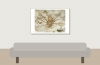 20250720 - Delons Colombe - Tonnerre - (35) — 20250720 — 60 × 40 cm