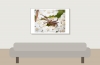 Xysticus Spec — 20250812 — 60 × 40 cm