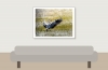 Grey Heron in Rosnay — 40 × 30 cm