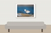 Calidris Alba — 20251205 — 70 × 50 cm