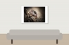 Hyllus Diardi — 60 × 40 cm