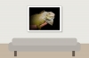 Iguana Iguana — 20251115-2025-11-15 — 40 × 30 cm