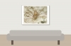 20250720 - Delons Colombe - Tonnerre - (35) — 20250720 — 70 × 50 cm