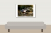 White-throated Dipper in Menétrux-en-Joux — 60 × 40 cm