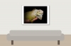 Iguana Iguana — 20251115-2025-11-15 — 70 × 50 cm