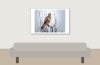 Common Buzzard in 20251204 — 60 × 40 cm
