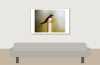 Hirundo Rustica — Rosnay — 60 × 40 cm