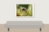 Apis Mellifera — Cheny 
